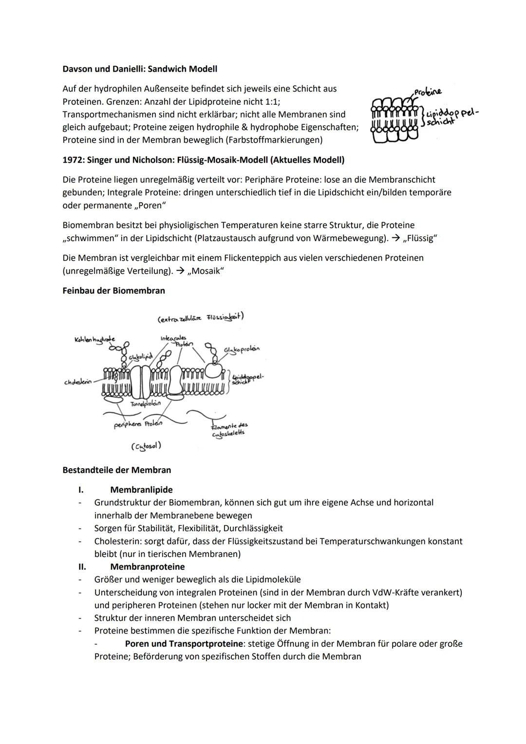 Biologie Zusammenfassung für das schriftliche Abitur
Inhalt
Basiskonzepte...
Oberflächenprinzip.
Kompartimentierung.
Zytologie.....
Untersuc