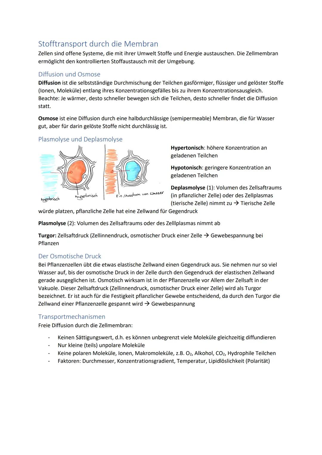 Biologie Zusammenfassung für das schriftliche Abitur
Inhalt
Basiskonzepte...
Oberflächenprinzip.
Kompartimentierung.
Zytologie.....
Untersuc