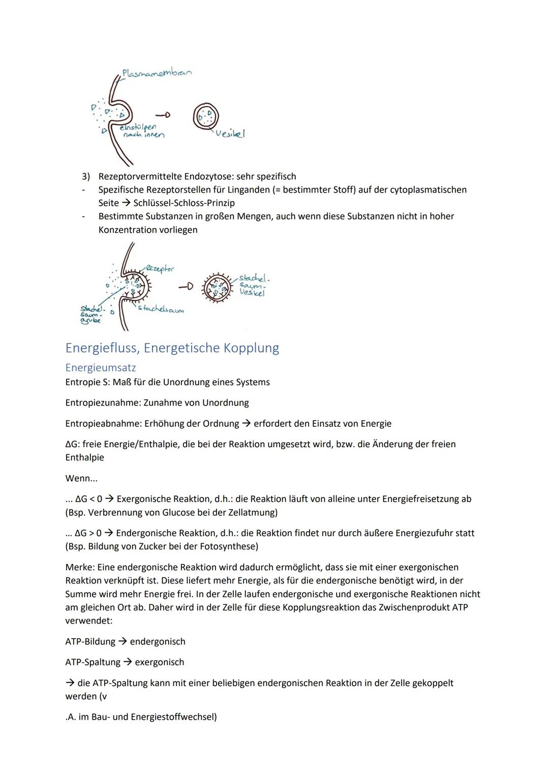 Biologie Zusammenfassung für das schriftliche Abitur
Inhalt
Basiskonzepte...
Oberflächenprinzip.
Kompartimentierung.
Zytologie.....
Untersuc