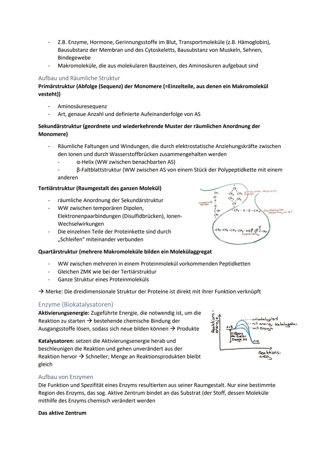 Biologie Zusammenfassung für das schriftliche Abitur
Inhalt
Basiskonzepte...
Oberflächenprinzip.
Kompartimentierung.
Zytologie.....
Untersuc