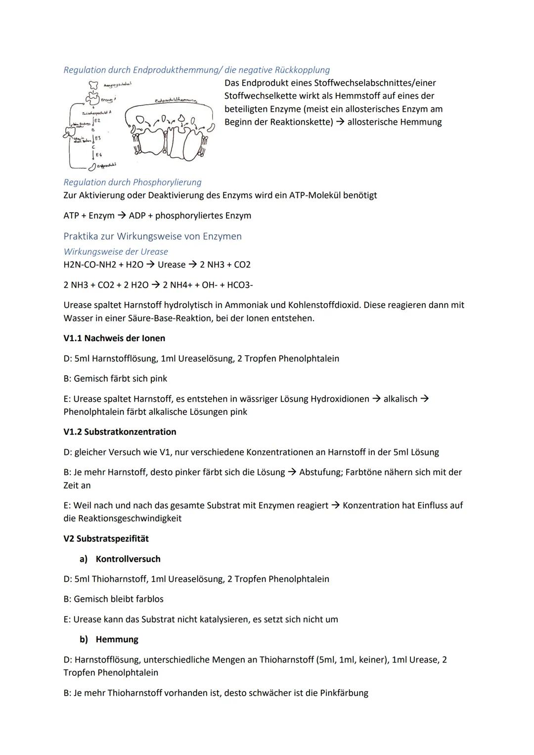 Biologie Zusammenfassung für das schriftliche Abitur
Inhalt
Basiskonzepte...
Oberflächenprinzip.
Kompartimentierung.
Zytologie.....
Untersuc