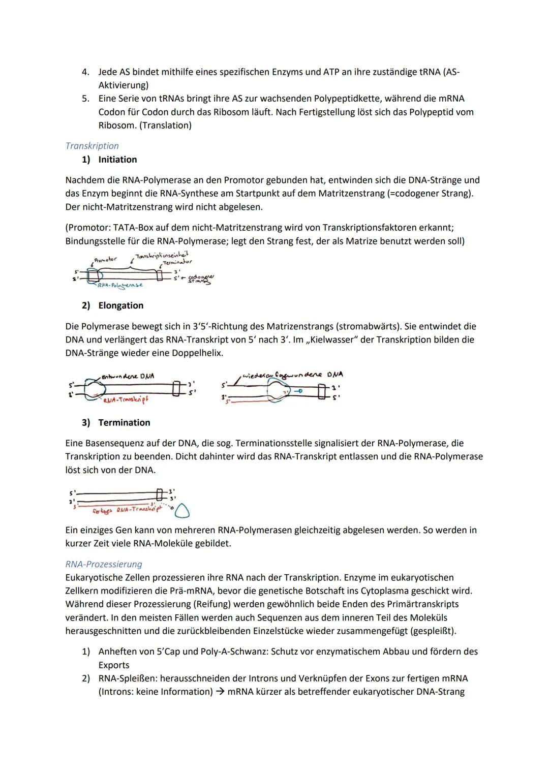 Biologie Zusammenfassung für das schriftliche Abitur
Inhalt
Basiskonzepte...
Oberflächenprinzip.
Kompartimentierung.
Zytologie.....
Untersuc