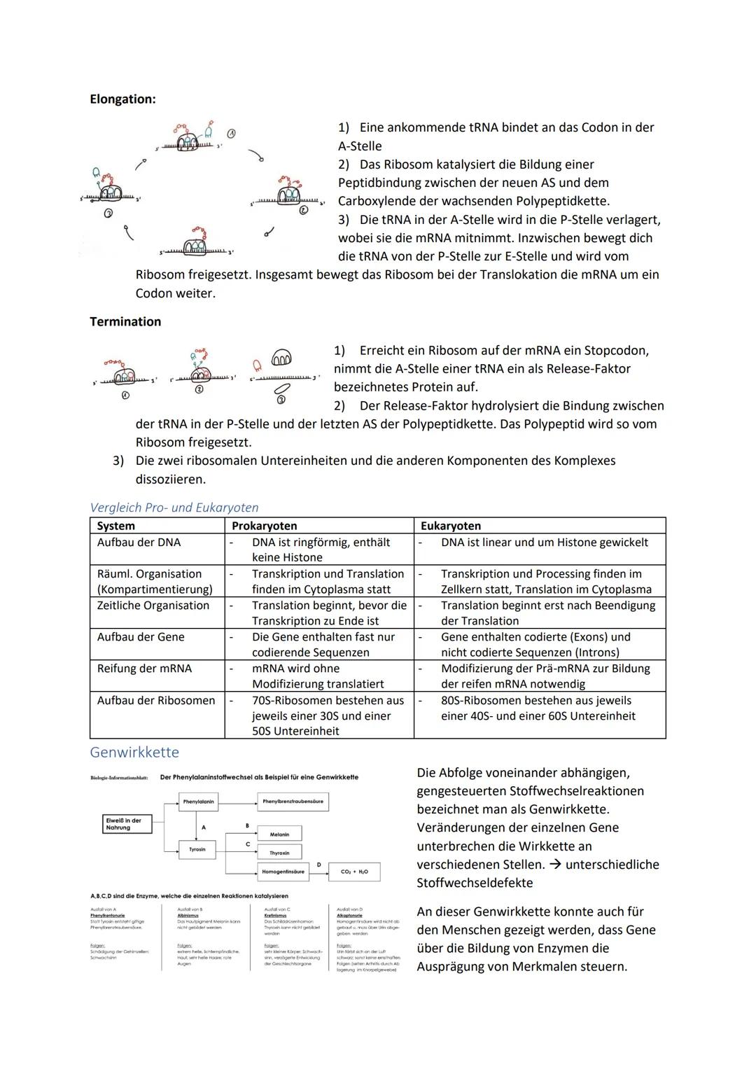 Biologie Zusammenfassung für das schriftliche Abitur
Inhalt
Basiskonzepte...
Oberflächenprinzip.
Kompartimentierung.
Zytologie.....
Untersuc