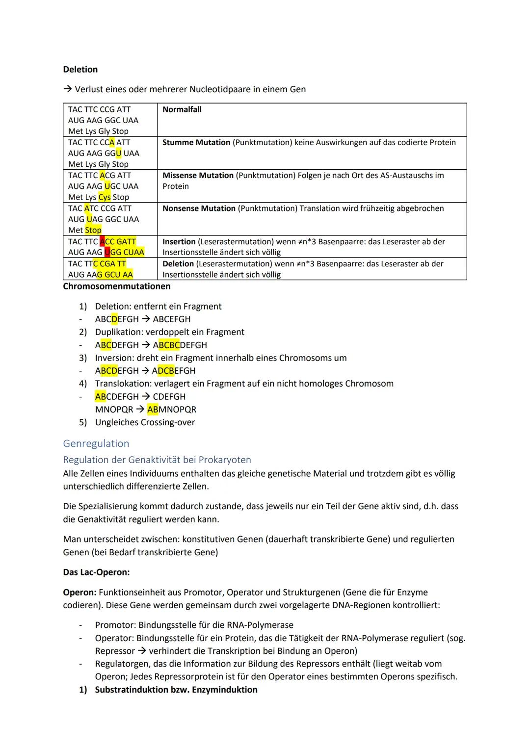 Biologie Zusammenfassung für das schriftliche Abitur
Inhalt
Basiskonzepte...
Oberflächenprinzip.
Kompartimentierung.
Zytologie.....
Untersuc