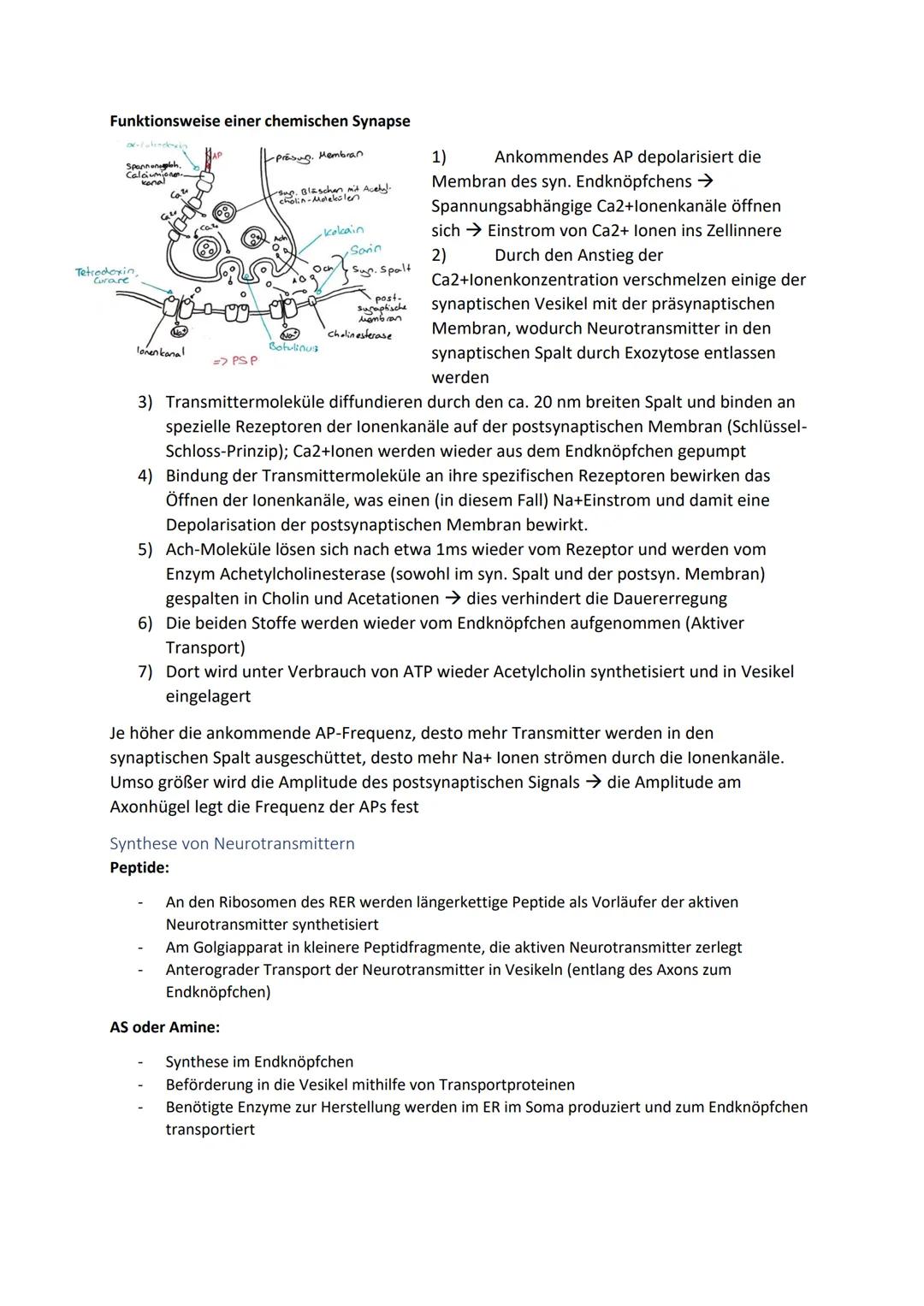 Biologie Zusammenfassung für das schriftliche Abitur
Inhalt
Basiskonzepte...
Oberflächenprinzip.
Kompartimentierung.
Zytologie.....
Untersuc