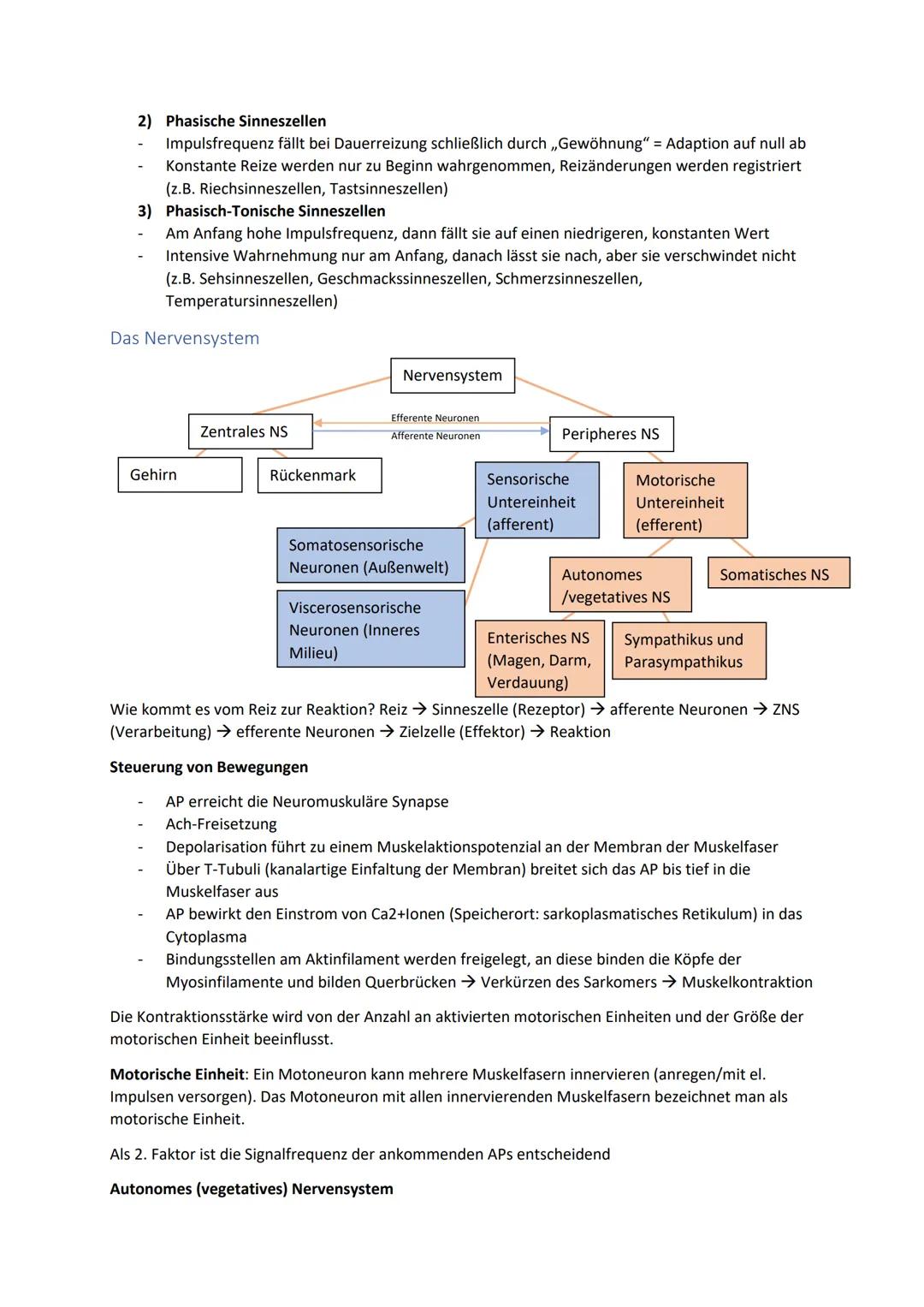 Biologie Zusammenfassung für das schriftliche Abitur
Inhalt
Basiskonzepte...
Oberflächenprinzip.
Kompartimentierung.
Zytologie.....
Untersuc