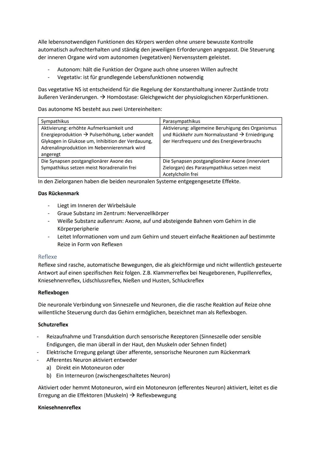 Biologie Zusammenfassung für das schriftliche Abitur
Inhalt
Basiskonzepte...
Oberflächenprinzip.
Kompartimentierung.
Zytologie.....
Untersuc