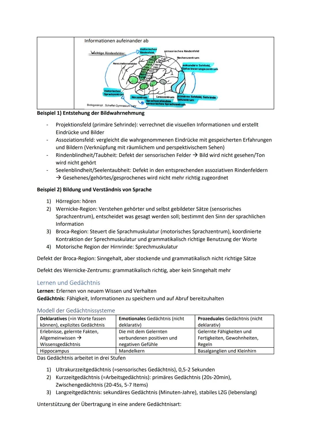 Biologie Zusammenfassung für das schriftliche Abitur
Inhalt
Basiskonzepte...
Oberflächenprinzip.
Kompartimentierung.
Zytologie.....
Untersuc