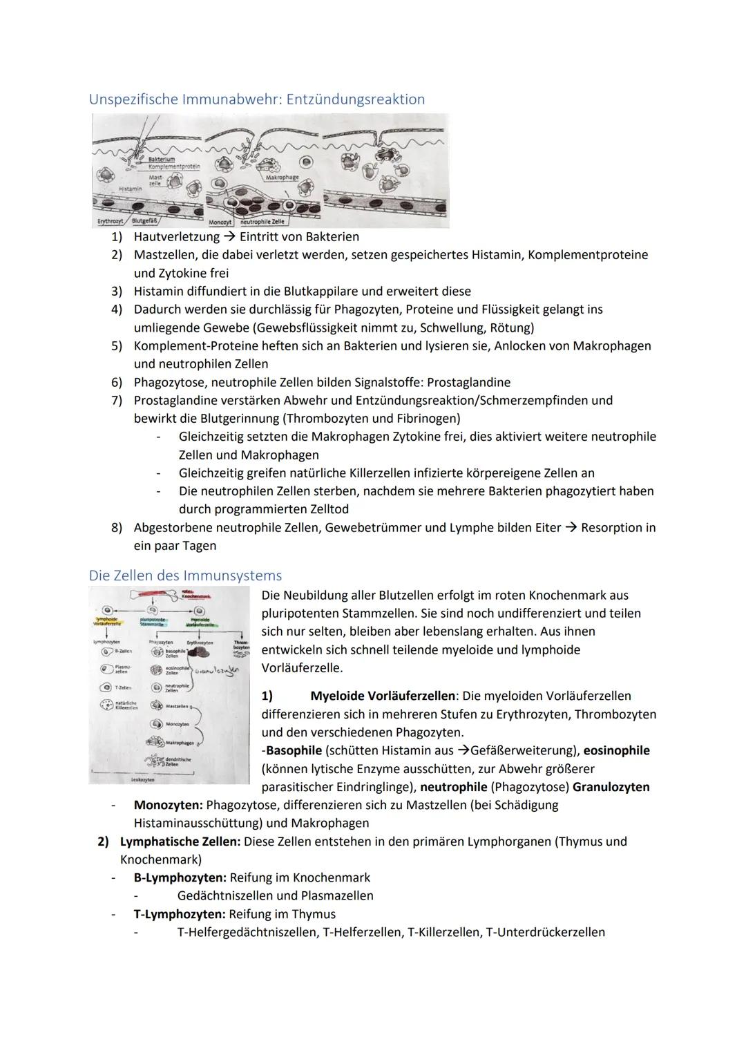 Biologie Zusammenfassung für das schriftliche Abitur
Inhalt
Basiskonzepte...
Oberflächenprinzip.
Kompartimentierung.
Zytologie.....
Untersuc