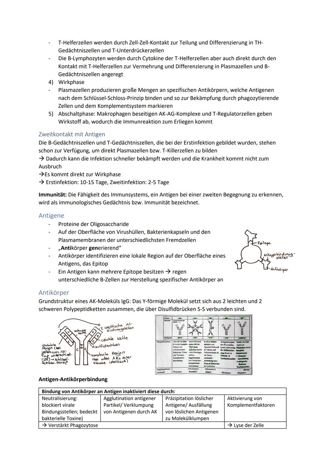 Biologie Zusammenfassung für das schriftliche Abitur
Inhalt
Basiskonzepte...
Oberflächenprinzip.
Kompartimentierung.
Zytologie.....
Untersuc