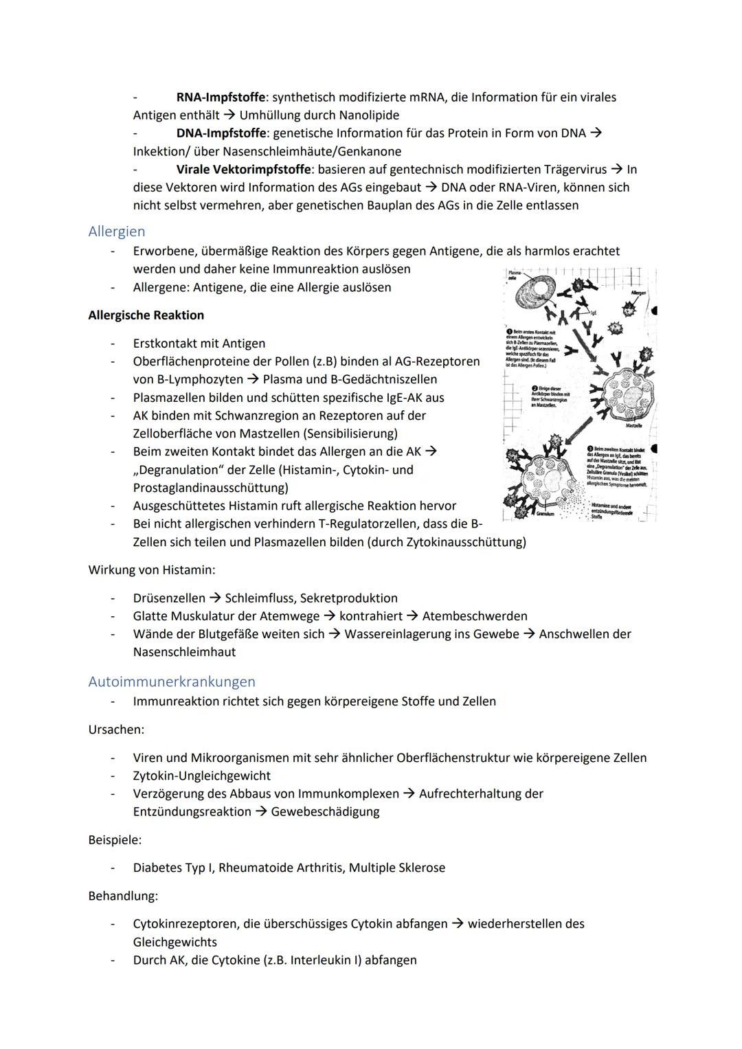 Biologie Zusammenfassung für das schriftliche Abitur
Inhalt
Basiskonzepte...
Oberflächenprinzip.
Kompartimentierung.
Zytologie.....
Untersuc