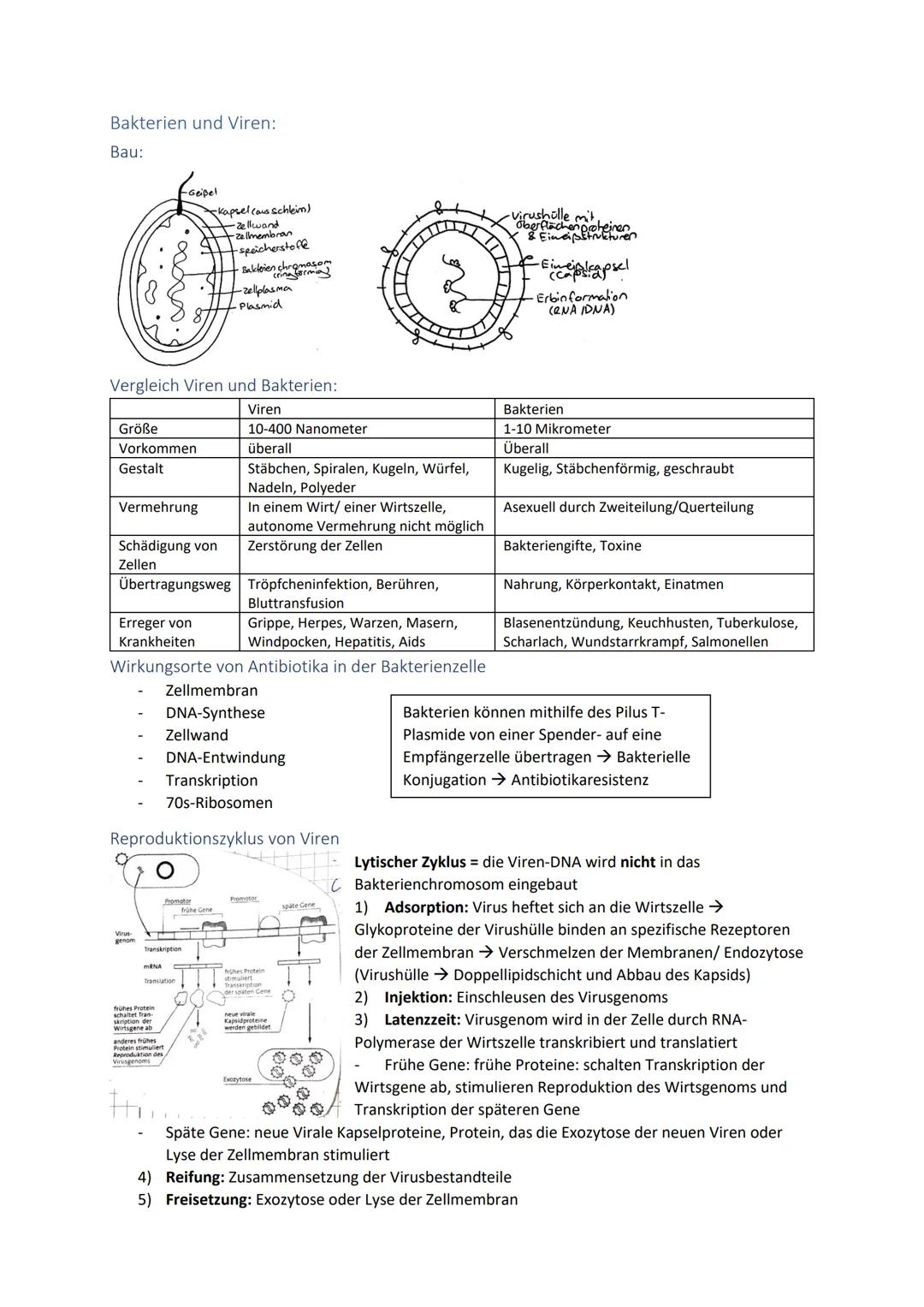 Biologie Zusammenfassung für das schriftliche Abitur
Inhalt
Basiskonzepte...
Oberflächenprinzip.
Kompartimentierung.
Zytologie.....
Untersuc