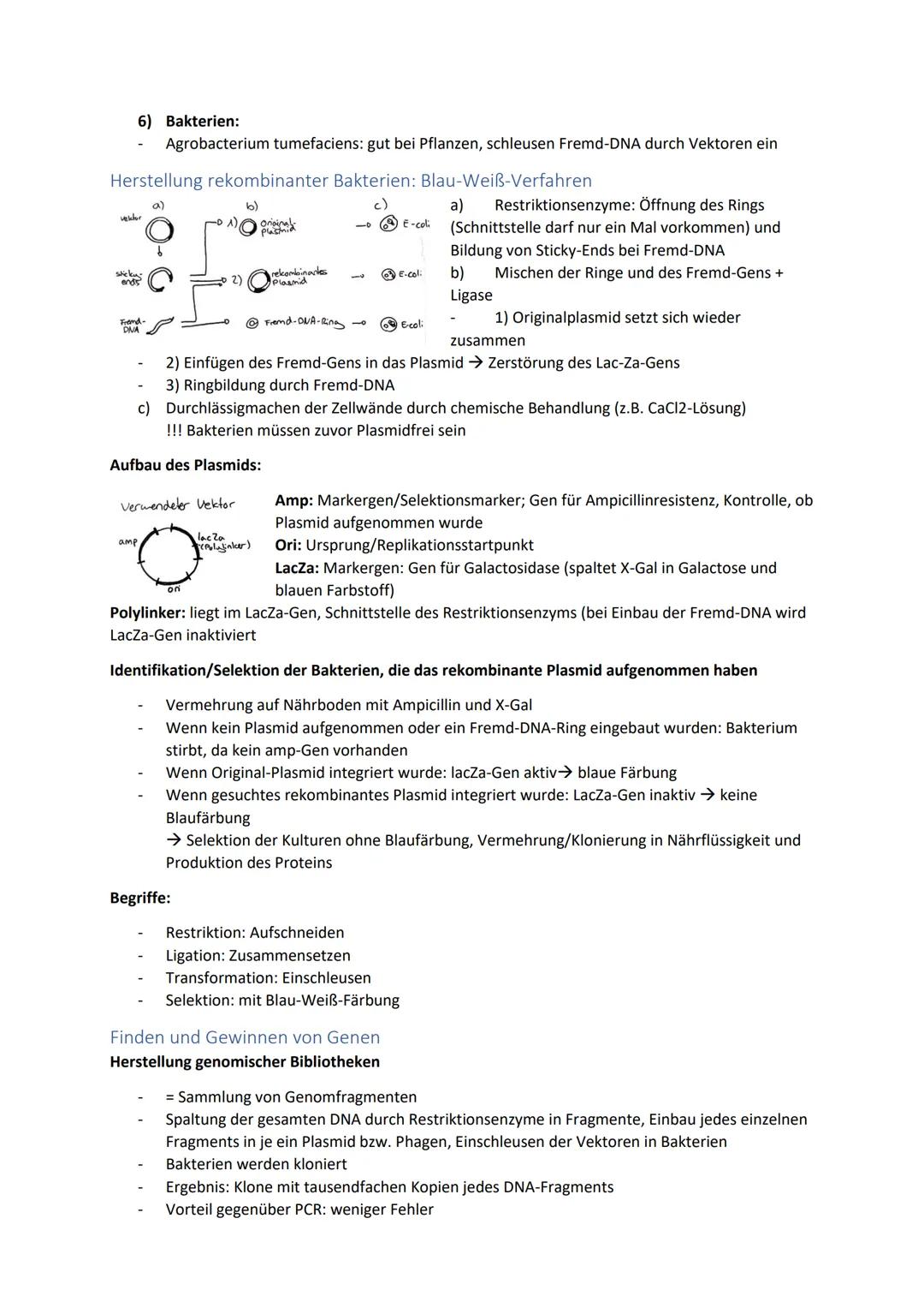 Biologie Zusammenfassung für das schriftliche Abitur
Inhalt
Basiskonzepte...
Oberflächenprinzip.
Kompartimentierung.
Zytologie.....
Untersuc