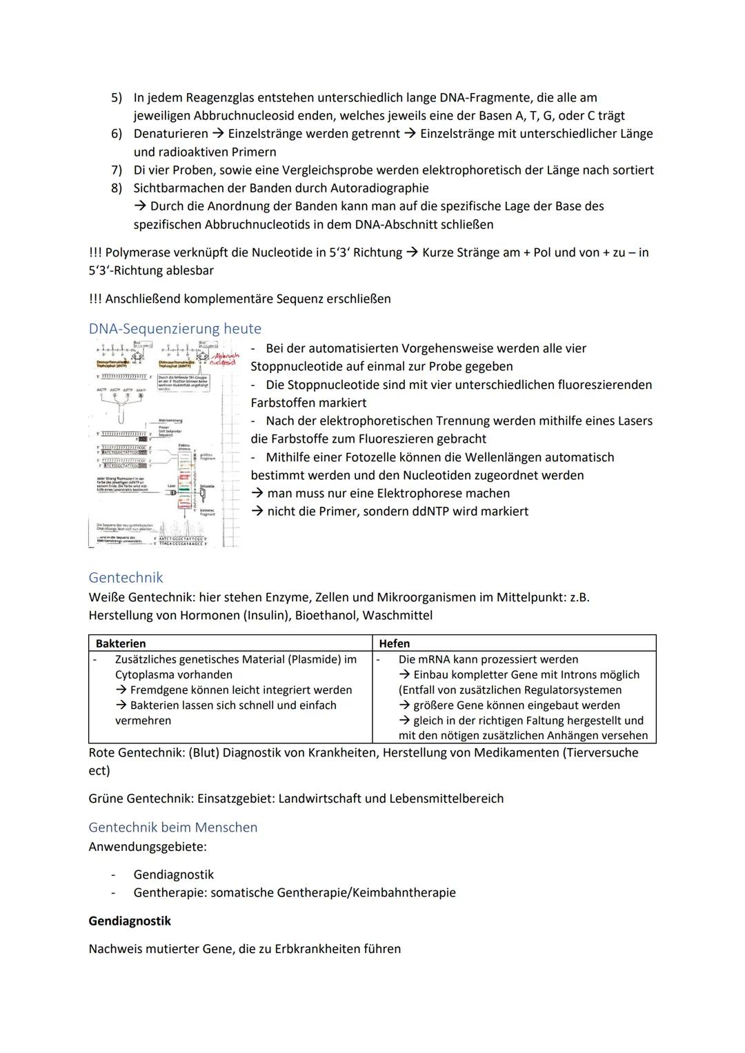 Biologie Zusammenfassung für das schriftliche Abitur
Inhalt
Basiskonzepte...
Oberflächenprinzip.
Kompartimentierung.
Zytologie.....
Untersuc