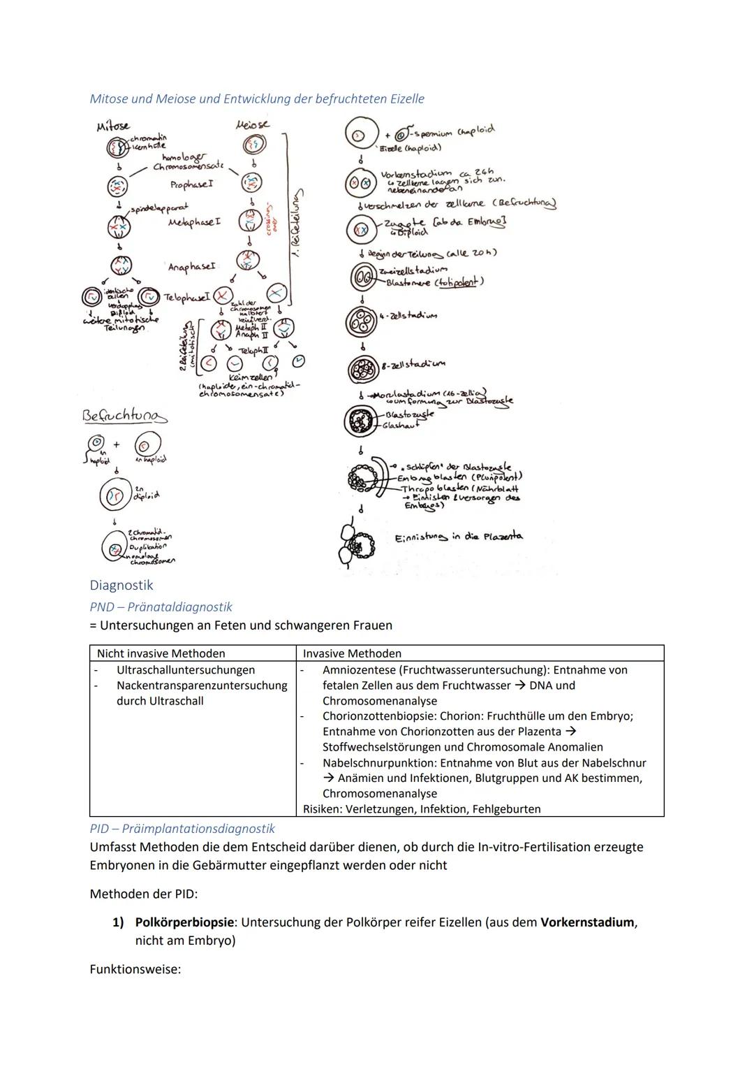 Biologie Zusammenfassung für das schriftliche Abitur
Inhalt
Basiskonzepte...
Oberflächenprinzip.
Kompartimentierung.
Zytologie.....
Untersuc