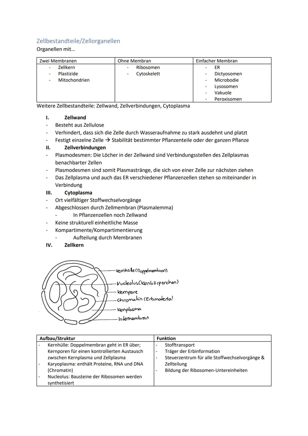 Biologie Zusammenfassung für das schriftliche Abitur
Inhalt
Basiskonzepte...
Oberflächenprinzip.
Kompartimentierung.
Zytologie.....
Untersuc