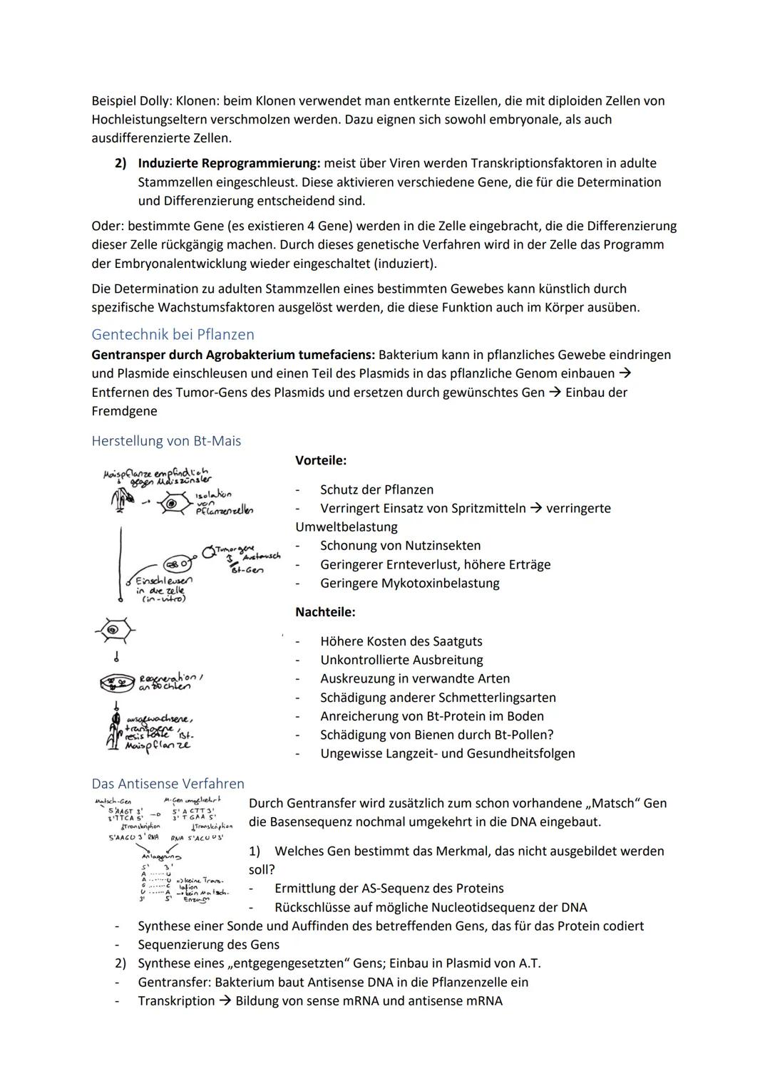 Biologie Zusammenfassung für das schriftliche Abitur
Inhalt
Basiskonzepte...
Oberflächenprinzip.
Kompartimentierung.
Zytologie.....
Untersuc