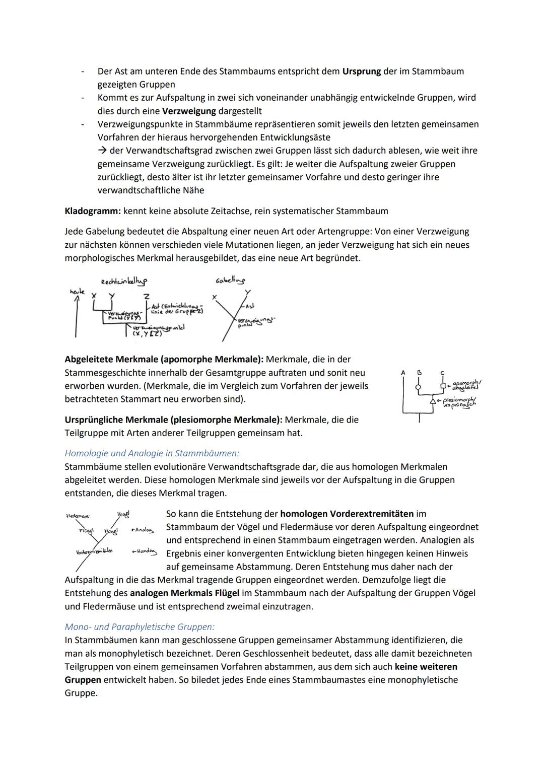 Biologie Zusammenfassung für das schriftliche Abitur
Inhalt
Basiskonzepte...
Oberflächenprinzip.
Kompartimentierung.
Zytologie.....
Untersuc