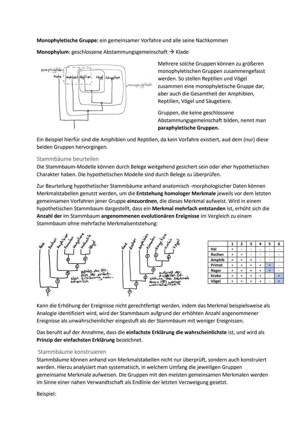 Biologie Zusammenfassung für das schriftliche Abitur
Inhalt
Basiskonzepte...
Oberflächenprinzip.
Kompartimentierung.
Zytologie.....
Untersuc