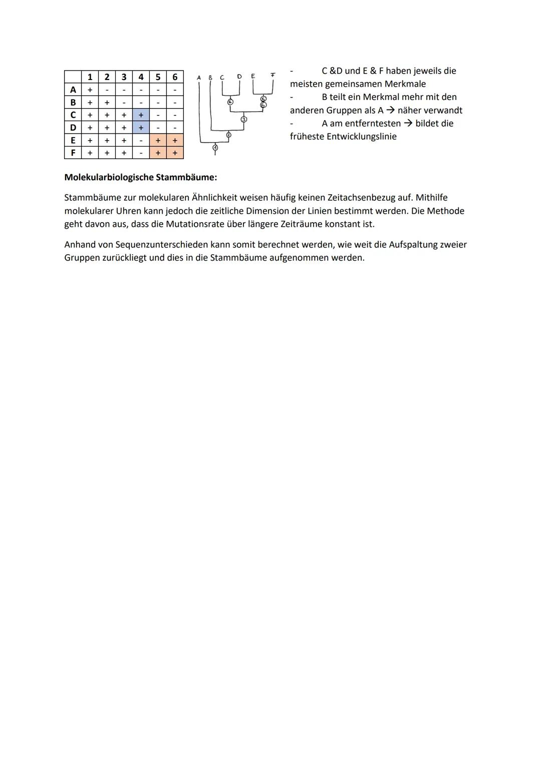 Biologie Zusammenfassung für das schriftliche Abitur
Inhalt
Basiskonzepte...
Oberflächenprinzip.
Kompartimentierung.
Zytologie.....
Untersuc