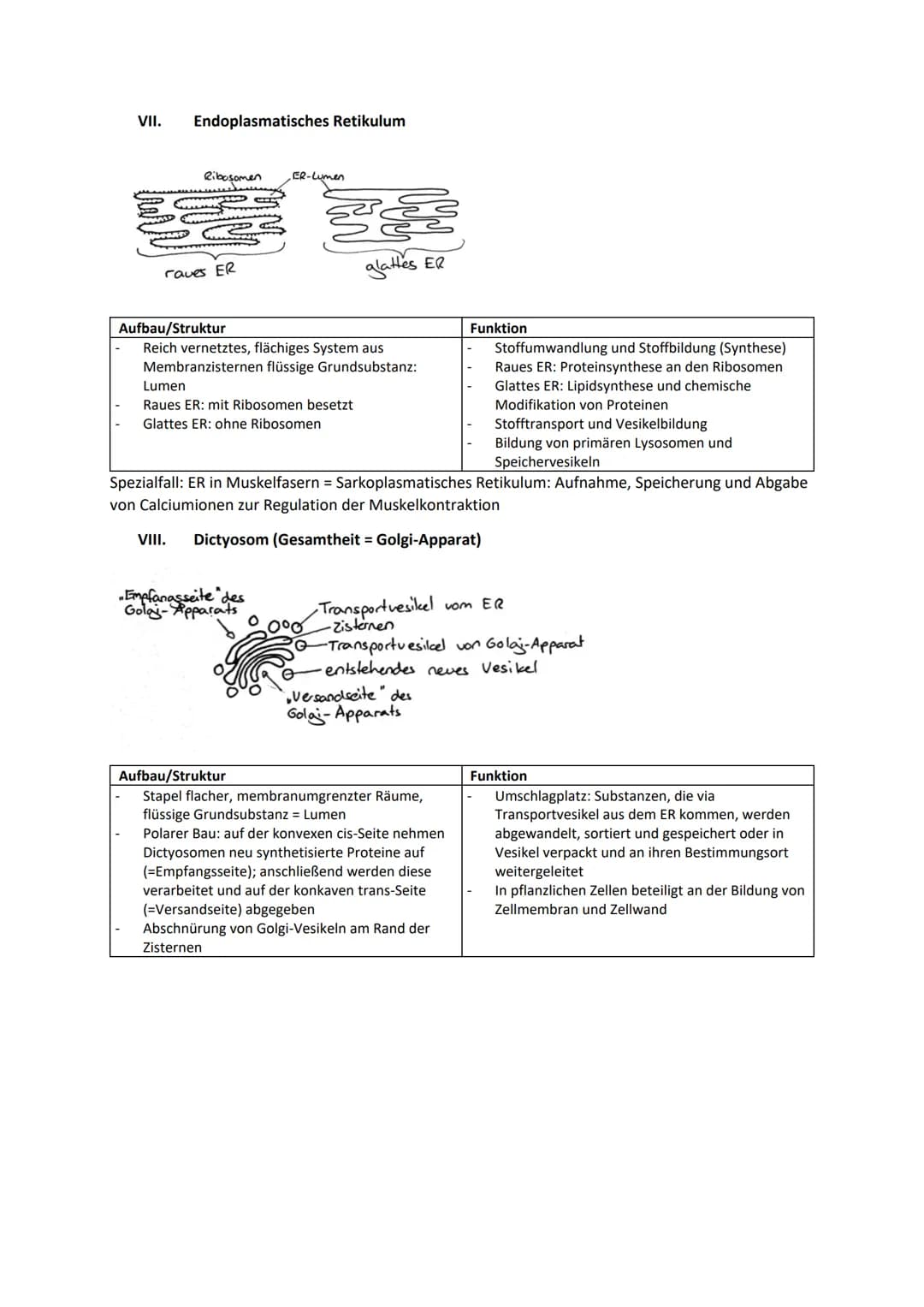 Biologie Zusammenfassung für das schriftliche Abitur
Inhalt
Basiskonzepte...
Oberflächenprinzip.
Kompartimentierung.
Zytologie.....
Untersuc