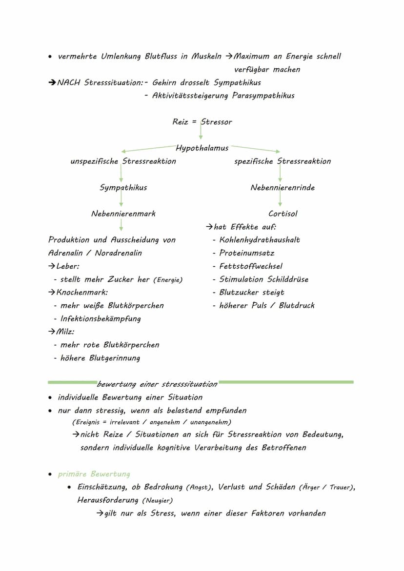 STRESS
= Reaktionsmuster auf Ereignisse, die Gleichgewicht eines Organismus stören
• bezeichnet psychische/ physische Reaktion, die zur Bewä