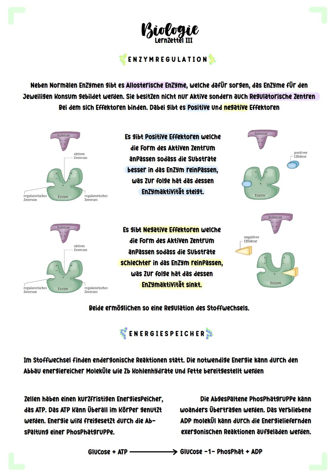 # Biologie
Zellatmung # Biologie
Lernzettel I

COFAKTOREN

Neben einem Substrat brauchen Viele Enzyme
auch vergleichsweise kleinere Moleküle