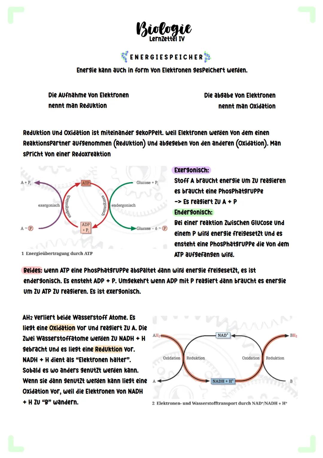 # Biologie
Zellatmung # Biologie
Lernzettel I

COFAKTOREN

Neben einem Substrat brauchen Viele Enzyme
auch vergleichsweise kleinere Moleküle