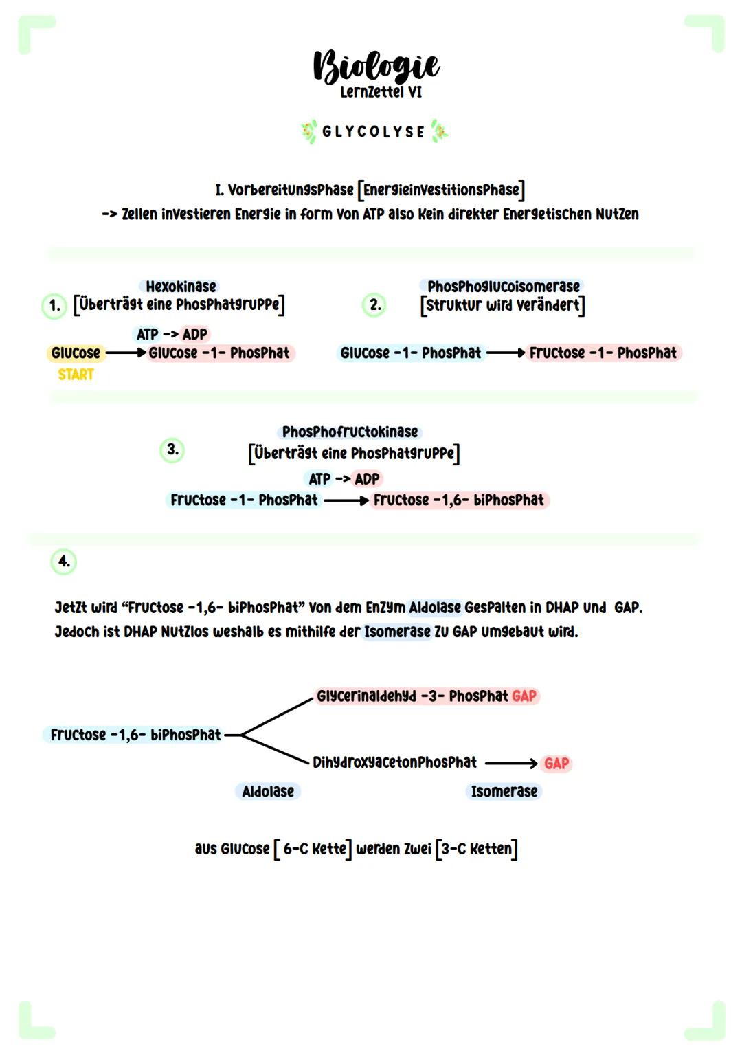 # Biologie
Zellatmung # Biologie
Lernzettel I

COFAKTOREN

Neben einem Substrat brauchen Viele Enzyme
auch vergleichsweise kleinere Moleküle