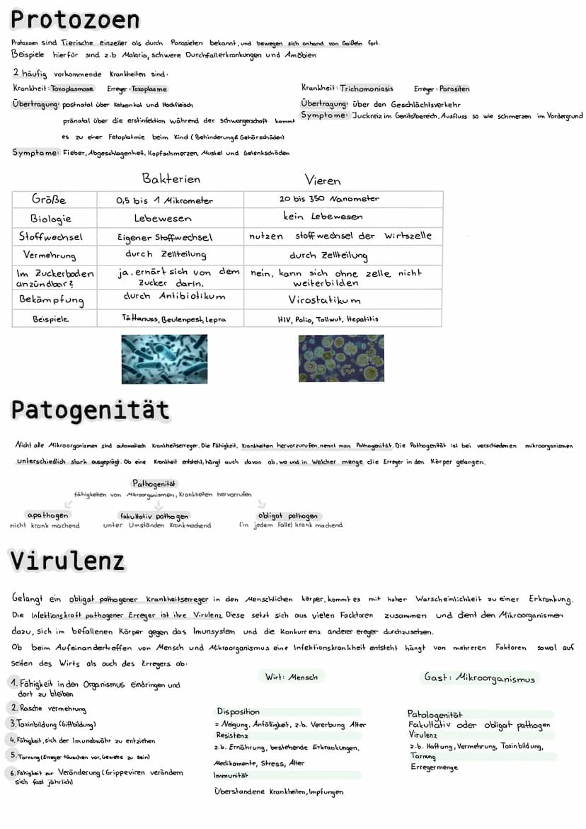 Mikrobiologie
Bakterien
Aufbau einer Bakterienzelle
Bakterienchromosomen/DWA
Geißel
Zellmembran
Zellwand (Murein)
Plasmid
Zytoplasma
Vieren
