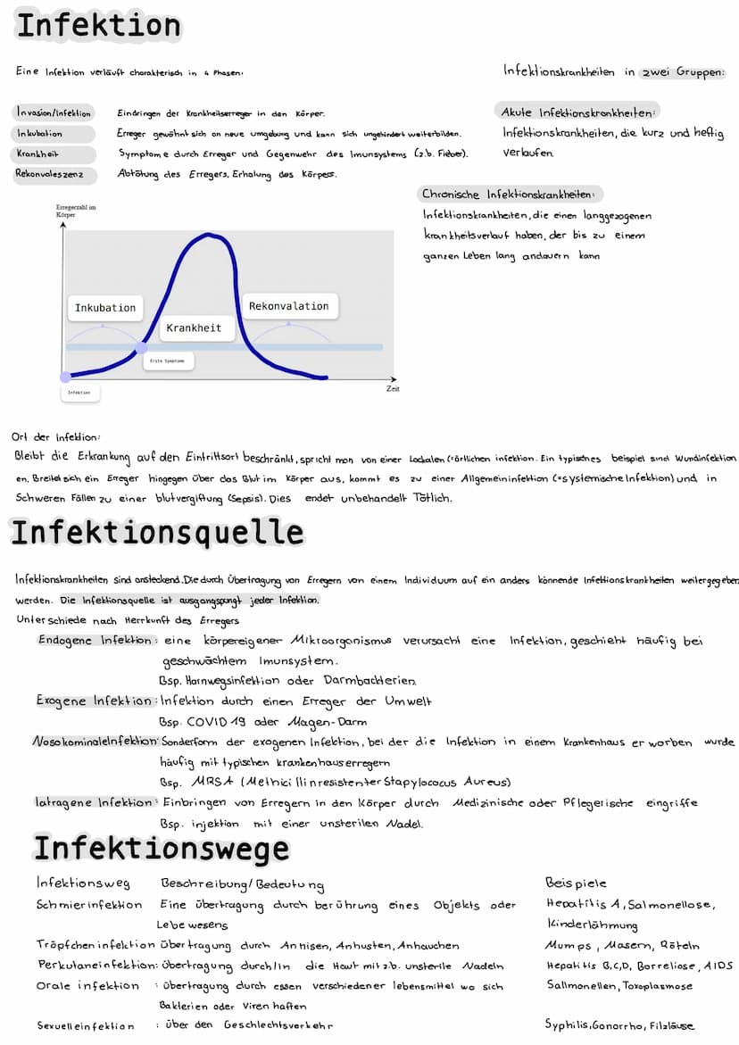 Mikrobiologie
Bakterien
Aufbau einer Bakterienzelle
Bakterienchromosomen/DWA
Geißel
Zellmembran
Zellwand (Murein)
Plasmid
Zytoplasma
Vieren
