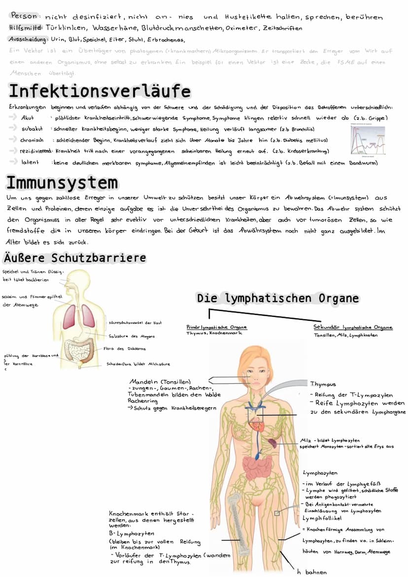 Mikrobiologie
Bakterien
Aufbau einer Bakterienzelle
Bakterienchromosomen/DWA
Geißel
Zellmembran
Zellwand (Murein)
Plasmid
Zytoplasma
Vieren
