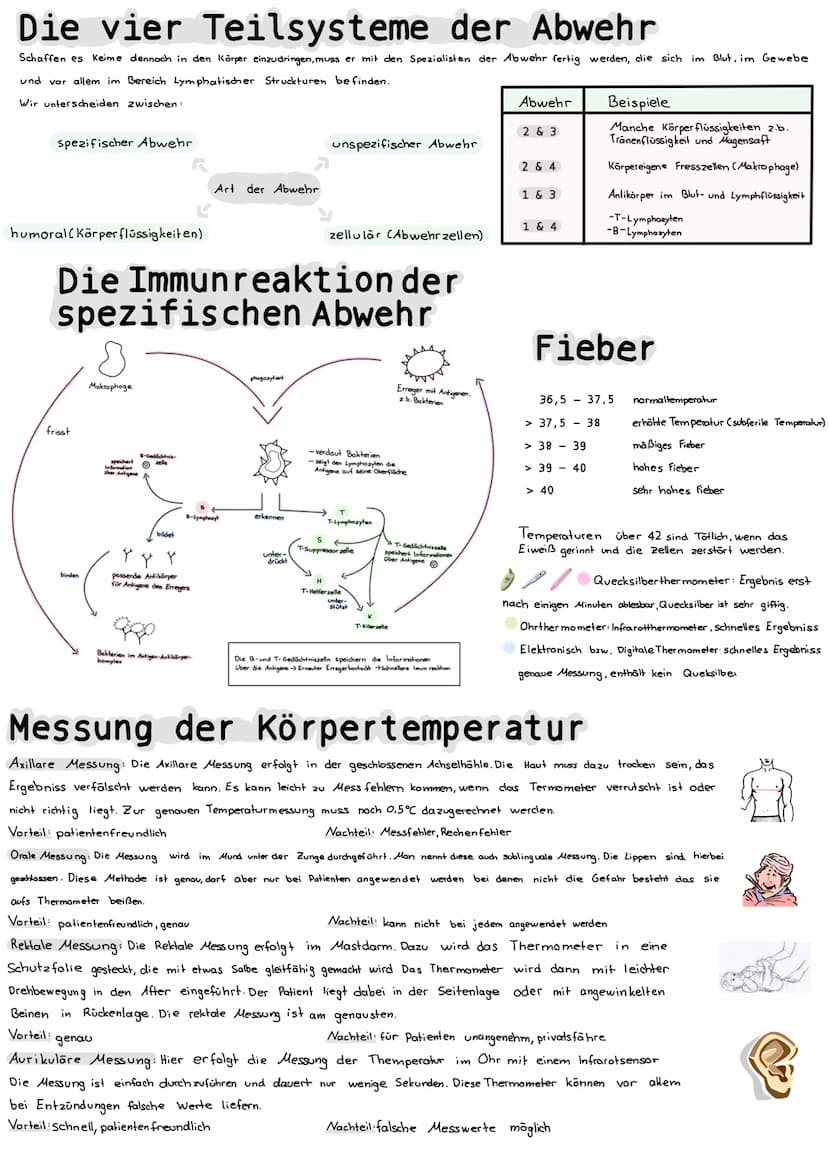 Mikrobiologie
Bakterien
Aufbau einer Bakterienzelle
Bakterienchromosomen/DWA
Geißel
Zellmembran
Zellwand (Murein)
Plasmid
Zytoplasma
Vieren
