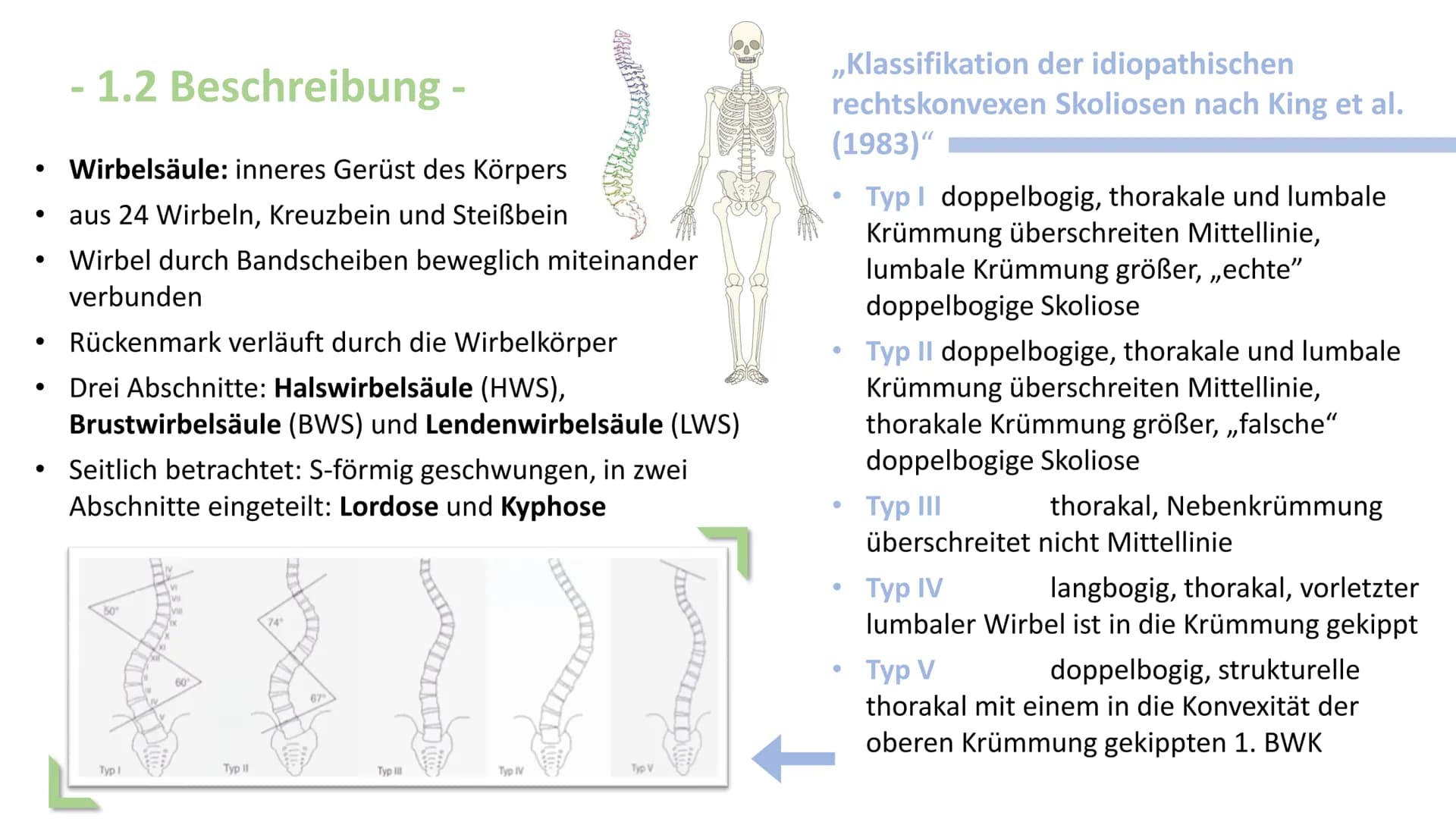 Skoliose -Korsettbehandlung
eine Erfolgsgeschichte? R
BS
1 Begriffsbestimmung
1.1
Definition
1.2 Beschreibung
2 Krankheitsbild
2.1 Ursachen
