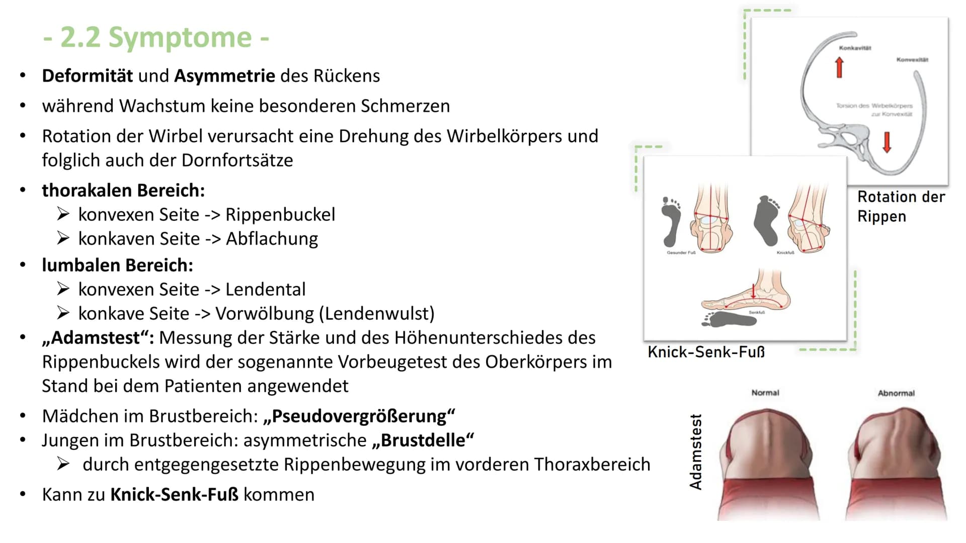 Skoliose -Korsettbehandlung
eine Erfolgsgeschichte? R
BS
1 Begriffsbestimmung
1.1
Definition
1.2 Beschreibung
2 Krankheitsbild
2.1 Ursachen
