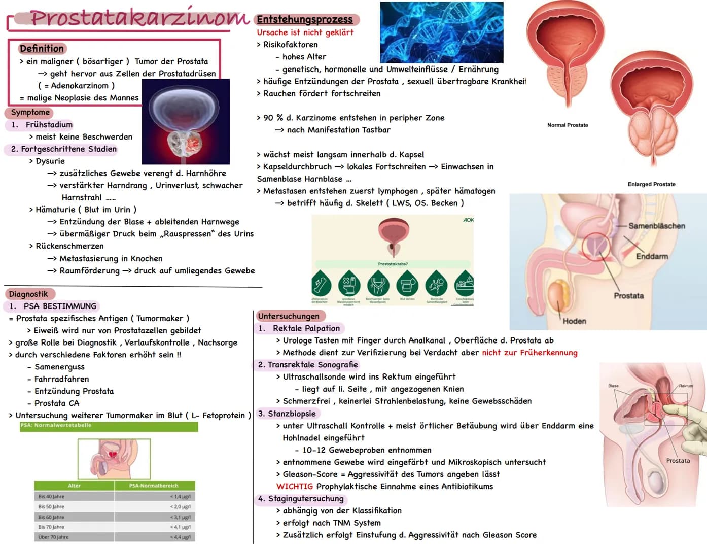Prostatakarzinom Entstehungsprozess
Ursache ist nicht geklärt
Definition
> ein maligner (bösartiger) Tumor der Prostata
-> geht hervor aus Z