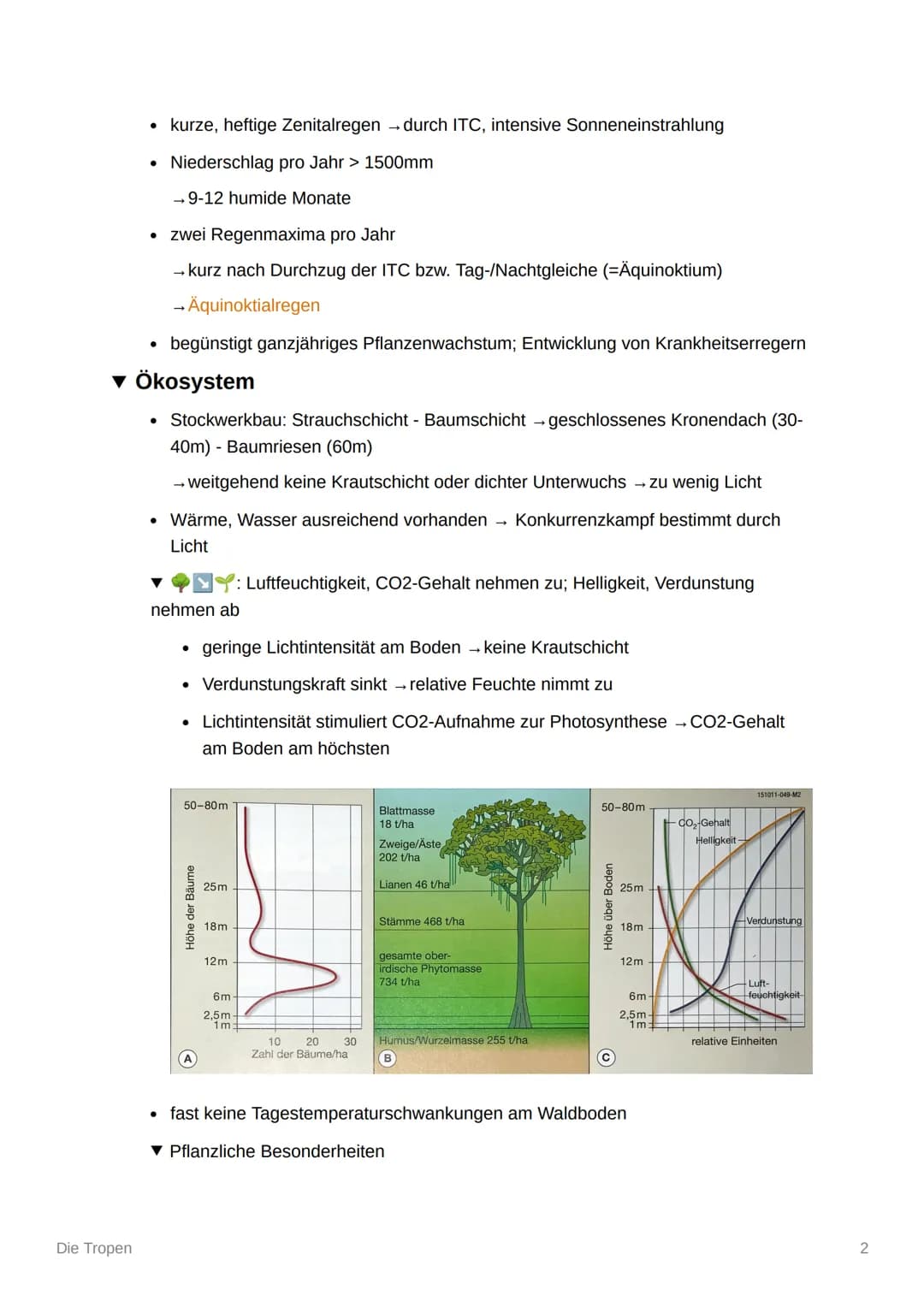 Die Tropen
Einteilung der Tropen
Immerfeuchte Tropen
Wechselfeuchte
(sommerfeuchte) Tropen
Trockene Randtropen
●
▼ Klima
Die Tropen
0° -10°
