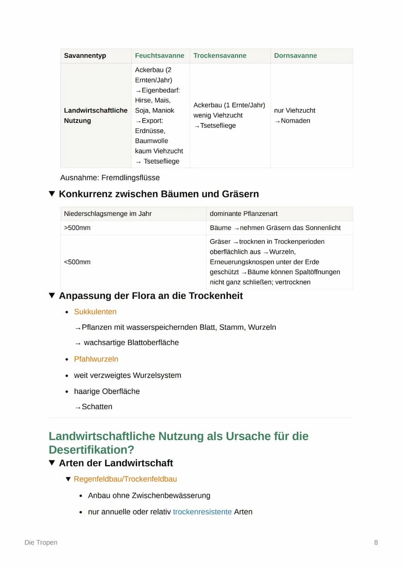 Die Tropen
Einteilung der Tropen
Immerfeuchte Tropen
Wechselfeuchte
(sommerfeuchte) Tropen
Trockene Randtropen
●
▼ Klima
Die Tropen
0° -10°
