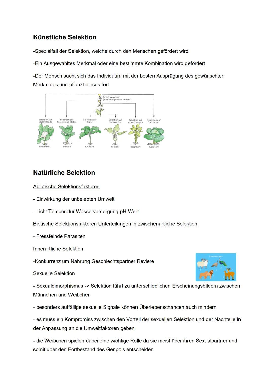 # Evolution

12BI1 (Bng)

Artbegriff

Der morphologische Artbegriff

-Individuen einer Art haben wesentliche Körpermerkmale miteinander und 