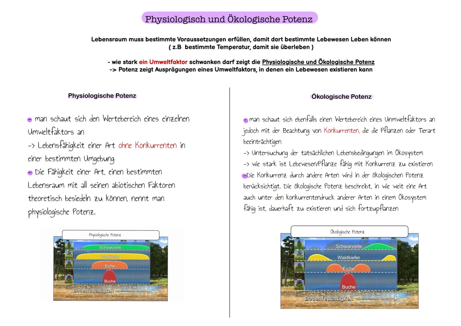 Physiologisch und Ökologische Potenz
Lebensraum muss bestimmte Voraussetzungen erfüllen, damit dort bestimmte Lebewesen Leben können
(z.B be