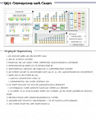 Know Die DNA-Sequenzierung nach Sanger thumbnail