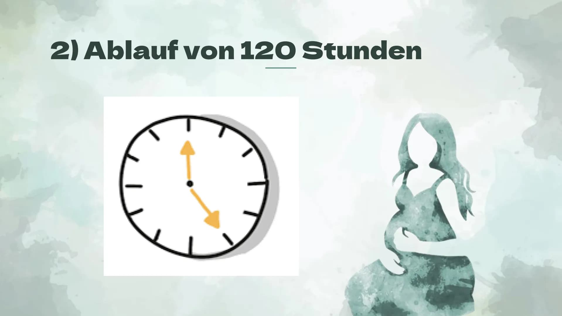 Präimplantationsdiagnostik
und Pränataldiagnostik
Von Alessiajoy Menzel, Theresa Schreiber und
Hannah Roth Inhaltsverzeichnis
1) Präimplanta