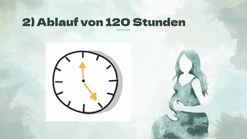 Präimplantationsdiagnostik
und Pränataldiagnostik
Von Alessiajoy Menzel, Theresa Schreiber und
Hannah Roth Inhaltsverzeichnis
1) Präimplanta
