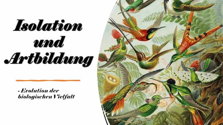 Know Isolation und Artbildung thumbnail