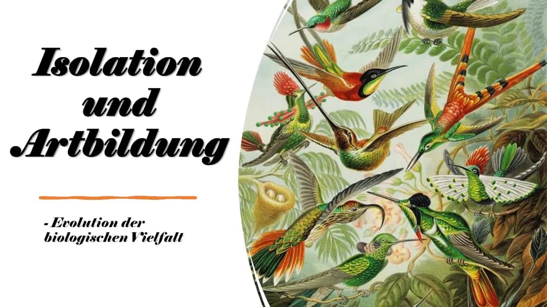 Alles über ökologische Isolation und ihre Beispiele in der Evolution