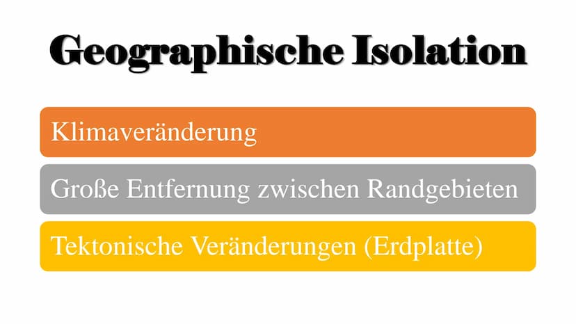 Isolation
und
Artbildung
- Evolution der
biologischen Vielfalt ,,Auch die Isolierung ist ein wichtiges Element bei der (...) Veränderung der