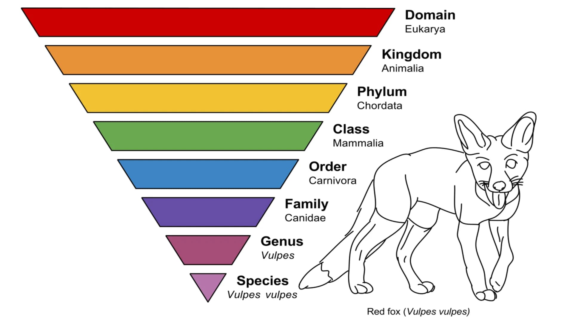 Isolation
und
Artbildung
- Evolution der
biologischen Vielfalt ,,Auch die Isolierung ist ein wichtiges Element bei der (...) Veränderung der