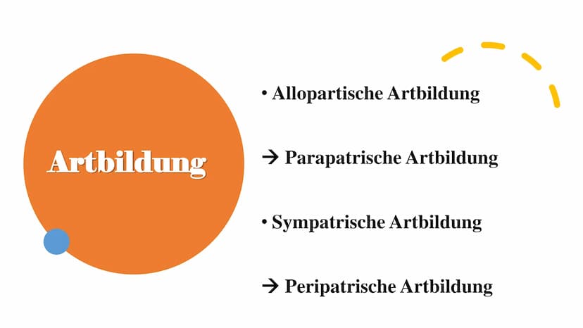 Isolation
und
Artbildung
- Evolution der
biologischen Vielfalt ,,Auch die Isolierung ist ein wichtiges Element bei der (...) Veränderung der