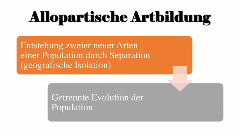 Isolation
und
Artbildung
- Evolution der
biologischen Vielfalt ,,Auch die Isolierung ist ein wichtiges Element bei der (...) Veränderung der
