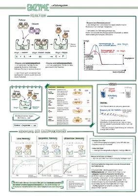 Know Enzyme thumbnail